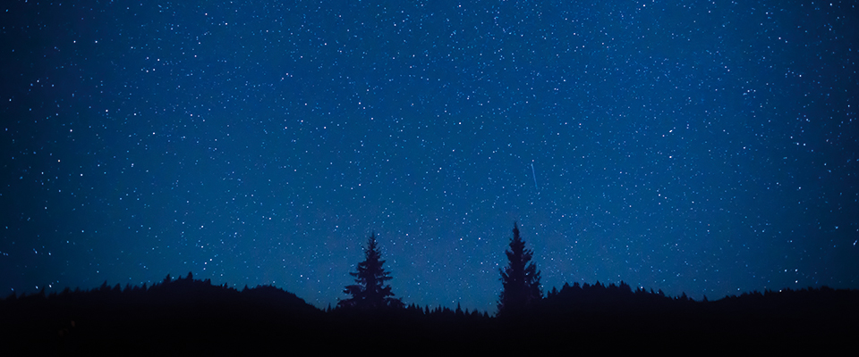 a tempo header